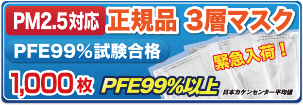 緊急入荷!PM2.5対応3層マスク