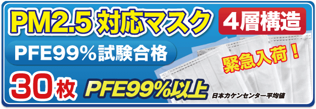 緊急入荷!PM2.5対応4層マスク